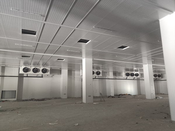 存200噸貨需要多大面積冷庫？造價多少？